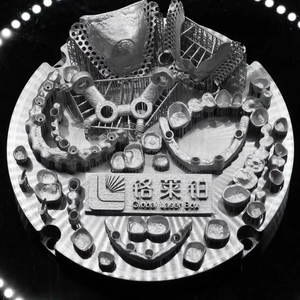 <span class=keywords><strong>Imprimante</strong></span> <span class=keywords><strong>3D</strong></span> SLM 120D, machine à impression <span class=keywords><strong>3D</strong></span>, laser haute vitesse 500W, numérisation 7-12m/s, épaisseur de couche 0,03mm, compacte, efficace, 1 an de garantie, nouveau modèle USB - Product Image 1