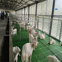 Atelier de traitement du foin en acier galvanisé, hangar préfabriqué pour machines agricoles, abri pour moutons