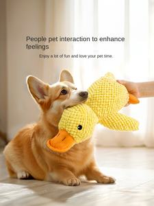 Çevre dostu tavuk lezzet köpek oyuncak peluş vokal yavru ayı ile Teddy Corky Molar diş Pet Bichon öz-bite çözme kapalı kullanım - Product Image 3