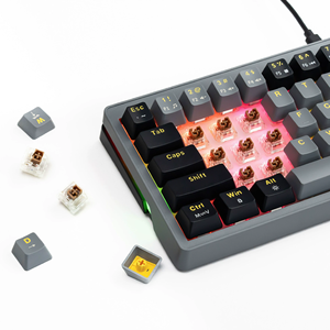 New AG68 60% <b>USB</b> <b>Type</b>-<b>C</b> RGB Backlight Gaming Keyboard Optimizing Gasket Filled Layer 68 Keys Compact Mechanical Keyboard PC - Product Image 5