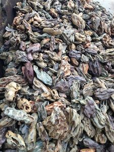 Natuurlijke <span class=keywords><strong>Aquarium</strong></span> Versieren <span class=keywords><strong>Aquarium</strong></span> Rotsen Rivier Tuimelde Bruine Drakensteen - Product Image 6