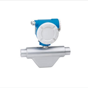 E + H prowirl F durchflussmesser 10L50/10L80/10L1H/10L1Z/10L2H/5P3B15/5WBB2510L/10W 8F2B/7F2C เมตร - Product Image 1