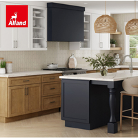 Armoires de cuisine sur mesure en MDF avec porte en verre, style transitoire Alland, finition laquée mate, panneau de porte Shaker