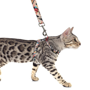 Harnais pour chat I Beam avec laisse réfléchissante, petite taille, pour utilisation en intérieur et en extérieur - Product Image 2