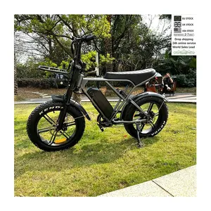 New Design factory direct 20 inch electric bike 48v 250w pedal assisted e bike snow beach electric bicycle OUXI V9 H9 3.0