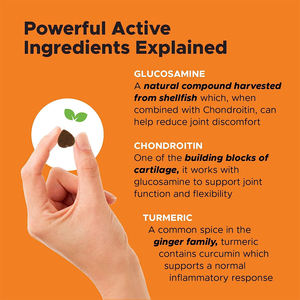 Toptan kalça ve ortak sağlık desteği köpekler yumuşak Chews Glucosamine <span class=keywords><strong>Chondroitin</strong></span> MSM zerdeçal gelişmiş köpek eklem takviyesi - Product Image 3