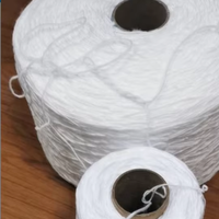 High Tenacity Raw PP Water Filter Yarn Acidproof for Water Filter Cartridge