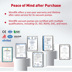 Wordfik Merk Pomp Fabrikant Pvx100d 100-120m ³/H 0.5Mbar Olie Type Rotary Vane Vacuümpomp Voor Verpakkingsmachine - Product Image 4