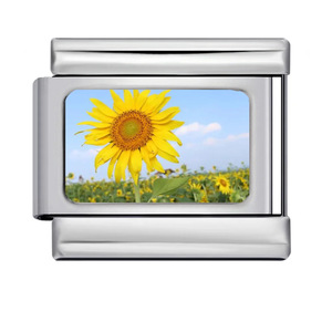 Personalized Photo Frame Modular Titanium Steel <b>Watch</b> Strap Bracelet 10x9mm Flower Design Unisex Gift Jewelry - Product Image 4
