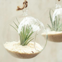 Vase de fleurs suspendu en verre, planteur d'air, Terrarium, Pots de fleurs pour décor de jardin de maison
