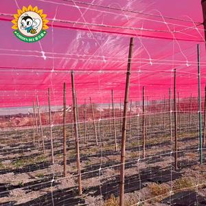 Filet anti-insectes respirant pour serre, pour l'agriculture biologique, la conversion de l'énergie solaire et l'ombrage des jardins - Product Image 2