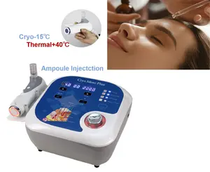 Xách tay sử dụng nhà da D mát mẻ trên khuôn mặt chống lão hóa chăm sóc da Cryo Electroporation Mesotherapy máy