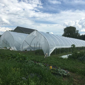 Film ultra-violet <span class=keywords><strong>agricole</strong></span> en polyéthylène 100 m, couverture des légumes, tomates, fleurs, Style cerceau, utilisé dans une <span class=keywords><strong>serre</strong></span> - Product Image 4