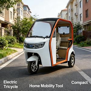 HOT SALES 60v 800W Electric-tricycle Three-Wheeled Open Body Design with <strong>2</strong> <strong>Passengers</strong> and 90km Range - Product Image 6