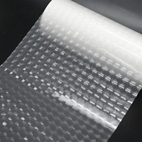 Film de plastification thermique souple OEM 25 microns en PET/BOPP transparent pour photos 3D lenticulaires, en rouleau, pour lamination à chaud, fourni aux ordinateurs
