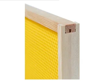 养蜂场用蜂蜡基础板组装的蜂架深木蜂巢架