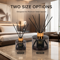 Diffuseurs de parfum de luxe en verre, ensemble de bouteilles, huiles aromatiques, emballage en gros, parfum pour chambre d'hôtel