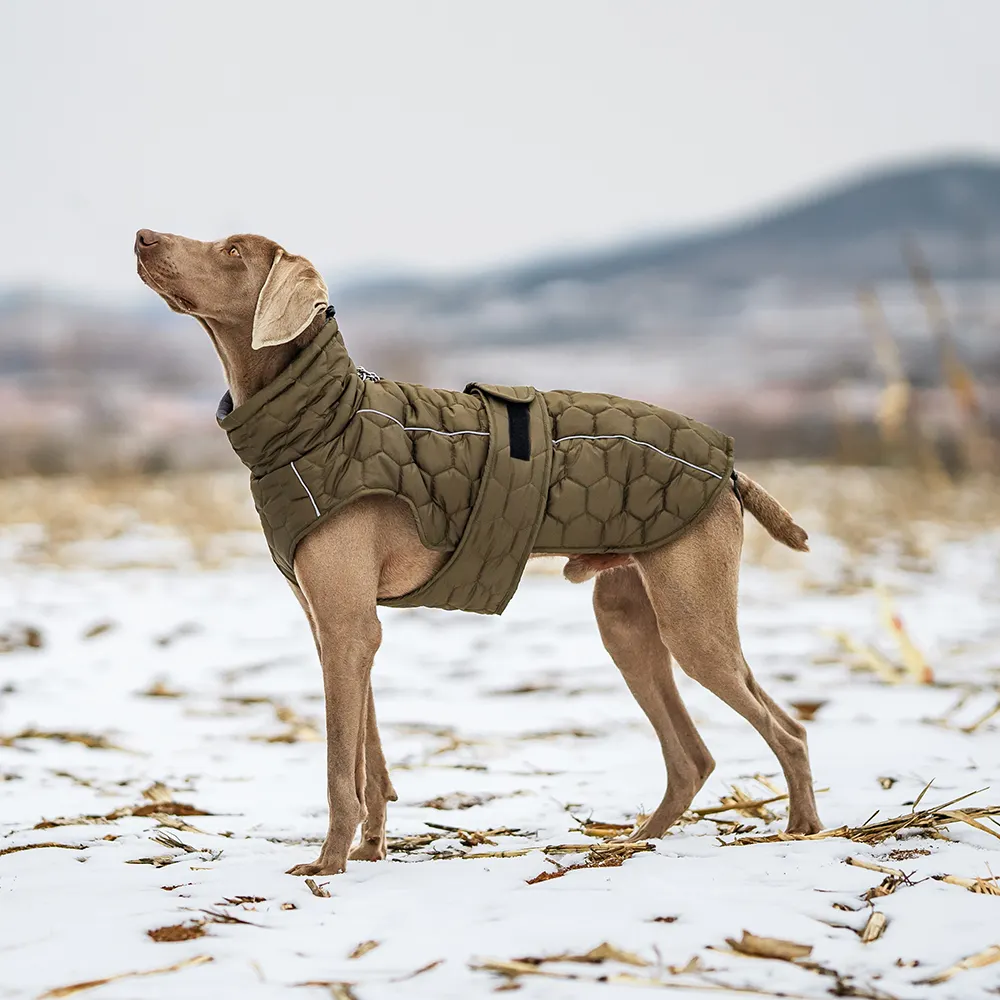 Giacca di abbigliamento personalizzata per gatti carino piccolo cappotto per animali da compagnia di marca invernale grande abbigliamento per cani in poliestere di lusso all'ingrosso