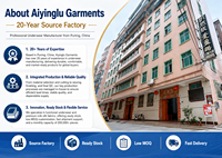 Braguitas de encaje de talle medio para mujer al por mayor, suaves, transpirables, elásticas, diseño elegante, ropa interior, fábrica OEM ODM