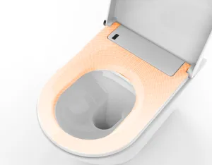 Niedrige Energie kosten günstige EU-Heizung Toilette Badezimmer Innovation Winter Konstante Erwärmung Wand Hung WC Heizung Toiletten sitz