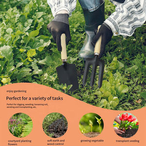 Ensemble d'outils à main <span class=keywords><strong>de</strong></span> jardinage <span class=keywords><strong>en</strong></span> acier au carbone 5 pièces outils <span class=keywords><strong>de</strong></span> <span class=keywords><strong>jardin</strong></span> kit d'outils <span class=keywords><strong>de</strong></span> <span class=keywords><strong>jardin</strong></span> à poignée <span class=keywords><strong>en</strong></span> <span class=keywords><strong>bois</strong></span> <span class=keywords><strong>de</strong></span> haute qualité - Product Image 4