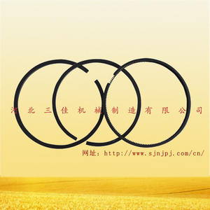 อะไหล่เครื่องยนต์ดีเซลฉางไช่ L28 สูบเดียว ระบายความร้อนด้วยน้ำ สำหรับเครื่องจักรกลทางการเกษตรทางทะเลขนาดเล็ก ลูกสูบ ขายส่งจากโรงงาน - Product Image 2