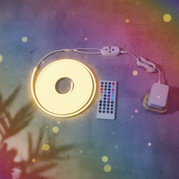 Kit complet RGBIC Dream Color avec télécommande RF, adaptateur DC12V, 5M PVC flexible IP67, USB, éclairage d'ambiance pour voiture et TV