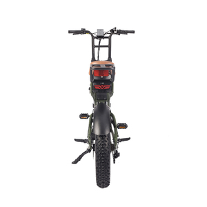Bicicleta Eléctrica Todoterreno Barata de 20 Pulgadas y 1000W con Neumáticos Gruesos, Suspensión, para Playa, Crucero, Todo Terreno, E-Bike ATV08-1, Super Fat T - Product Image 2