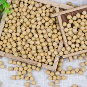<span class=keywords><strong>Soja</strong></span> cru sans additif naturel pur vert frais à vendre - Product Image 2