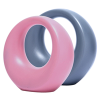 Ensemble de kettlebells en fer coloré et durable de 1 à 20 kg avec sable de fer pour l'entraînement de force et la musculation