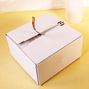 Caja de Cartón para Envíos con Logotipo Personalizado, Tira de Apertura Fácil, Autosellable, Ecológica, para Regalos, Ropa y Envíos Express - Product Image 1