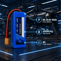 Paket Baterai Lithium Ion 8S 29.6V 30Ah 10C 350Wh/kg Baterai Isi Ulang untuk Peralatan Kerja Udara Industri