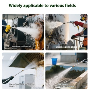 高功率 120W 250Bar 600L/H 电动自动高压水清洗机，用于洗车、消毒、除油 - Product Image 2