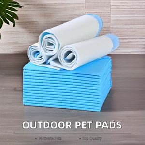 High Quality Absorption Dog Pet PEE Mat Pet Changing Mat Disposable Absorbent Changing Mat Baby Underpad 60X45 60X60 60X90 - Product Image 6