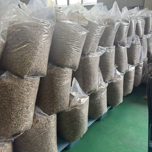 Larve di Mosca Soldato Nera Essiccate 100% Naturali di Alta Qualità, Mangime per Uccelli, Polli e Anatre - Product Image 3