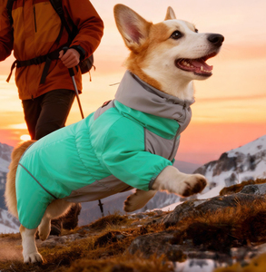 Capa de Chuva para Outono e Inverno Impermeável e à Prova de Vento, Mantém Quente, Roupas Multifuncionais para Animais de Estimação de Tamanho Médio - Product Image 1