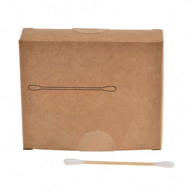 2023 Wholesale Disposable Eco Dust-free Clean Room Cotton Swab