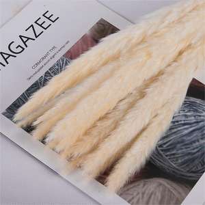 Fleurs séchées de la <span class=keywords><strong>pampa</strong></span> moelleuses Petit <span class=keywords><strong>mini</strong></span> bouquet de pampas séchées pour la décoration - Product Image 6