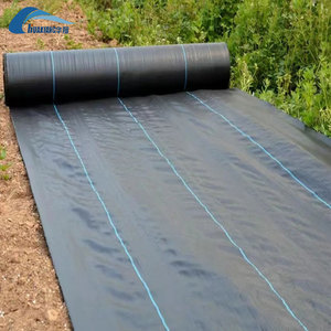 Tessuto per il controllo delle erbacce in vigneto, telo pacciamante permeabile in PP per la prevenzione delle infestanti delle viti - Product Image 2