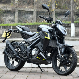 Nueva Motocicleta Nacional <span class=keywords><strong>IV</strong></span> Efi Benelli Little Xunlong BJ300GS-3 de 150 cc con Motor de Doble Cilindro, Motocicleta Urbana Retro para Hombre y Mujer, Eficiente en Combustible, Máxima - Product Image 2