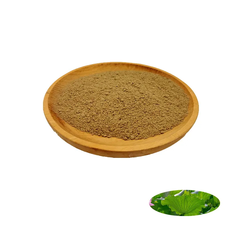 Natural Nuciferin Powder CAS 475-83-2 Nuciferin 2% 4% 10% ekstrak daun Lotus