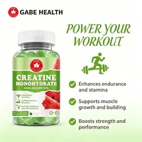 Gummies de Créatine Monohydrate en Gros, 60 Unités, Saveur Pastèque, Haute Absorption, Croissance Musculaire, Force et Performance, Gym, ODM/OEM