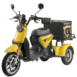 Factory OEM/ODM E-motorcycle 1000w Swing Tumbler Tricycle Food Delivery Vehicle Moped Car Scooter Electric For Transport