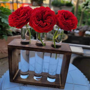 <span class=keywords><strong>15</strong></span> X100mm 20X100mm 25X200mm laboratuvar kullanımı ahşap mantar ile uzun borosilikat cam 3.3 cam <span class=keywords><strong>Test</strong></span> tüpü - Product Image 2