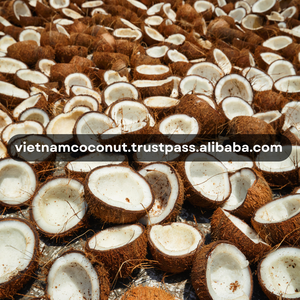 Agricultura al por mayor Para coco seco 100% coco natural seco proveedor personalización embalaje fabricación desde Vietnam - Product Image 5