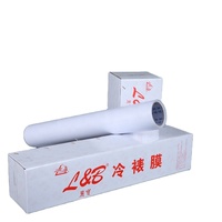 Film de plastification froide en PVC, 2 m L & B, Photo texturé, avec différentes Surface, plastifieuse