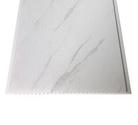 Panel de Techo de PVC Perforado Cuadrado Moderno con Rejilla para Techo para Uso en Interiores