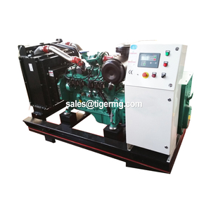 1mW sinh khối nhỏ không khí nóng tuabin năng lượng gasifier điện máy phát điện nhà máy cho giá 500kw - Product Image 2