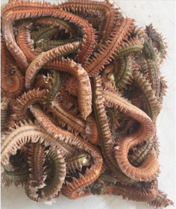 Señuelo de Pesca Ecológico de ABS, Cebo de Gusano de Seda Vivo Seco, Señuelo de Madera y Plástico para Pesca de Trucha, Carpa, Lucio, Perca y Camarones en Ríos y Lagos - Product Image 3