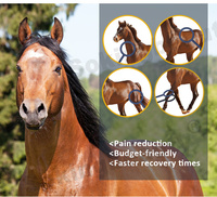 Máquina PEMF de Bucle Grande para Caballos, Directo de Fábrica, Reduce el Dolor Después del Ejercicio, Dispositivo PEMF para Centros de Rehabilitación de Mascotas